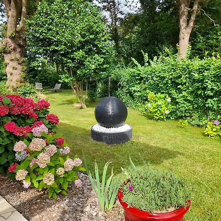 La Clairiere Du Seignanx Bed and Breakfast Saint-Martin-de-Seignanx Buitenkant foto