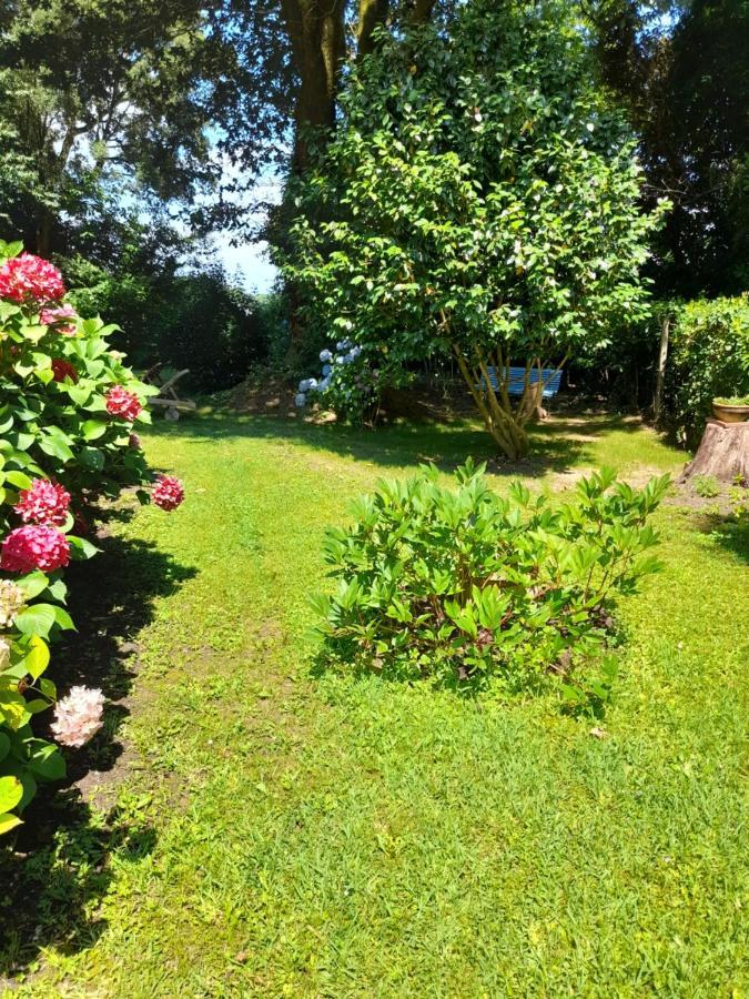 La Clairiere Du Seignanx Bed and Breakfast Saint-Martin-de-Seignanx Buitenkant foto