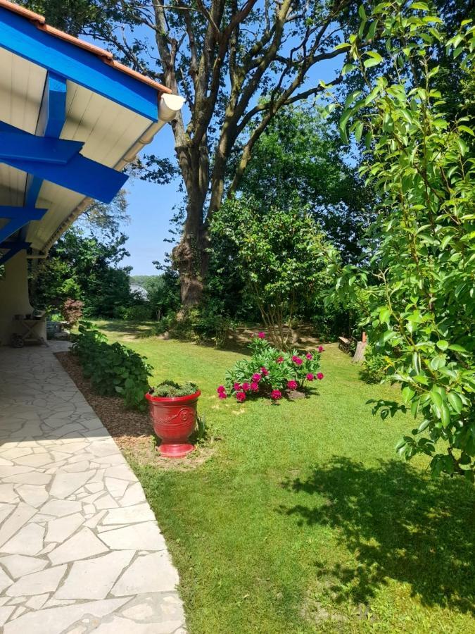 La Clairiere Du Seignanx Bed and Breakfast Saint-Martin-de-Seignanx Buitenkant foto