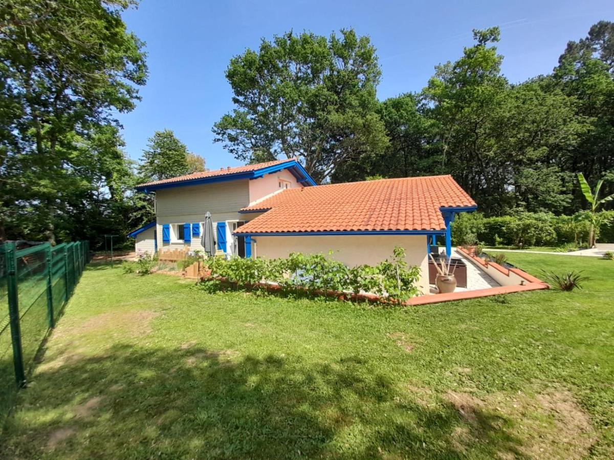 La Clairiere Du Seignanx Bed and Breakfast Saint-Martin-de-Seignanx Buitenkant foto