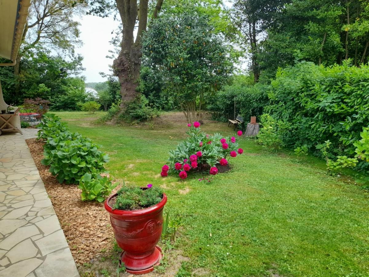 La Clairiere Du Seignanx Bed and Breakfast Saint-Martin-de-Seignanx Buitenkant foto