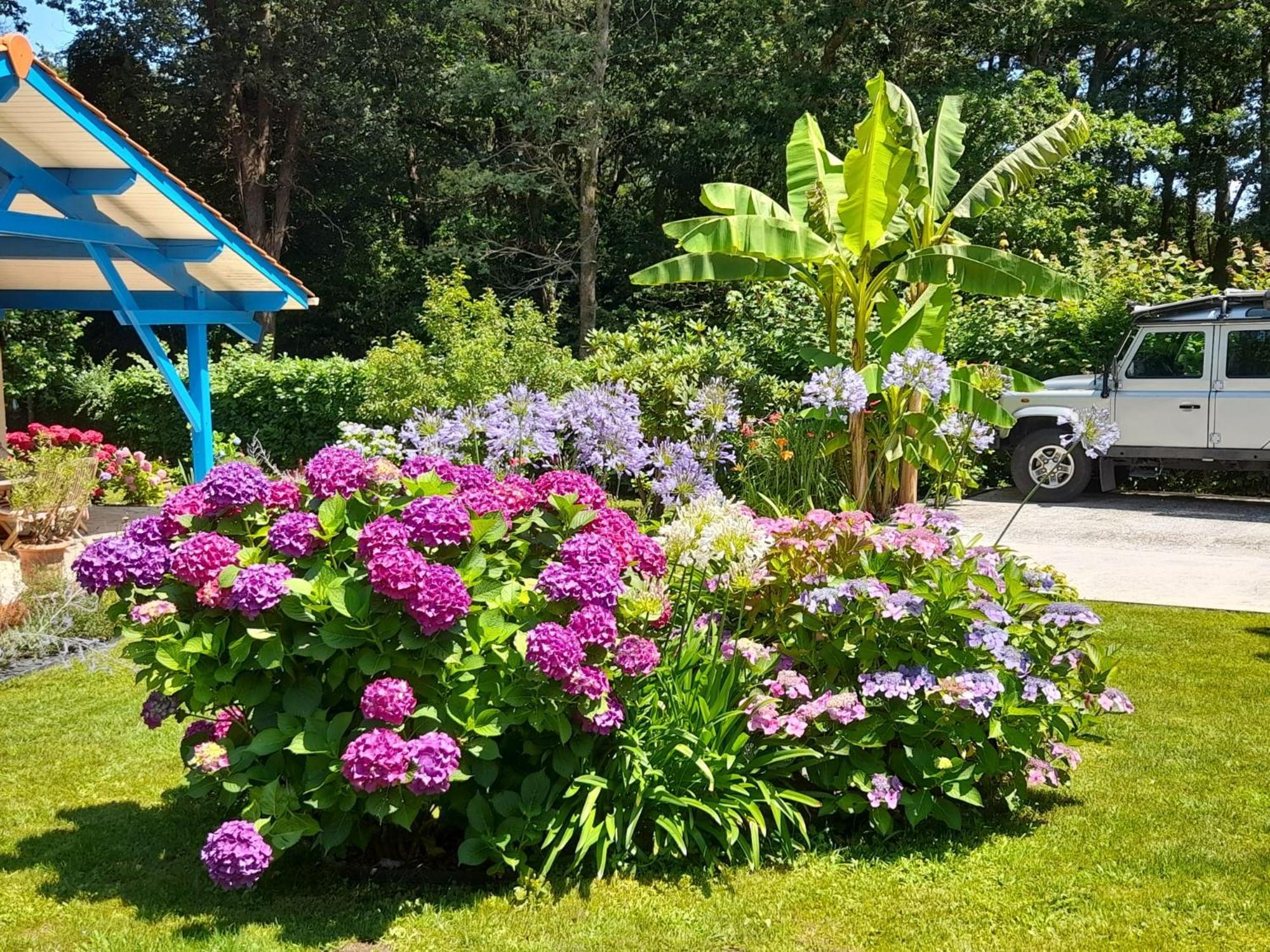 La Clairiere Du Seignanx Bed and Breakfast Saint-Martin-de-Seignanx Buitenkant foto