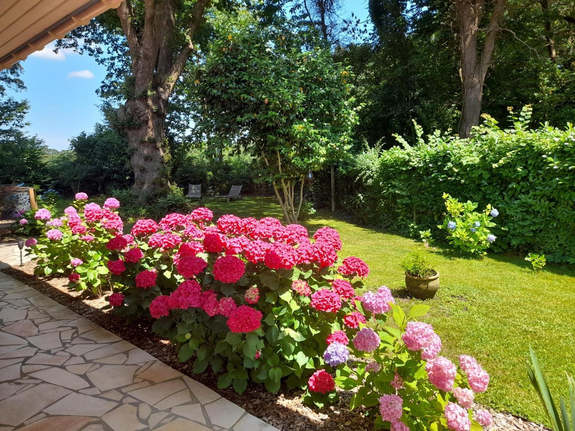 La Clairiere Du Seignanx Bed and Breakfast Saint-Martin-de-Seignanx Buitenkant foto