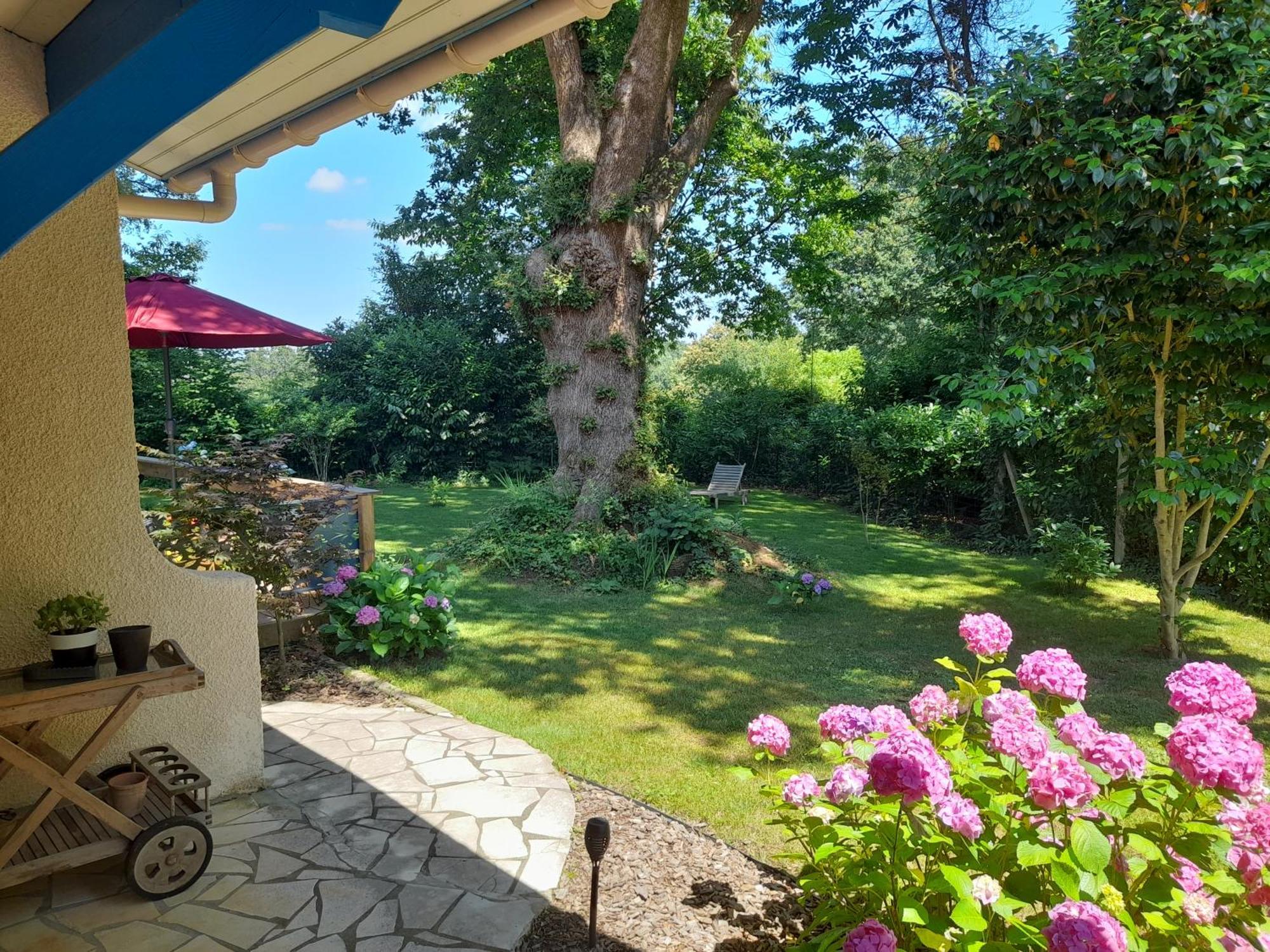 La Clairiere Du Seignanx Bed and Breakfast Saint-Martin-de-Seignanx Buitenkant foto